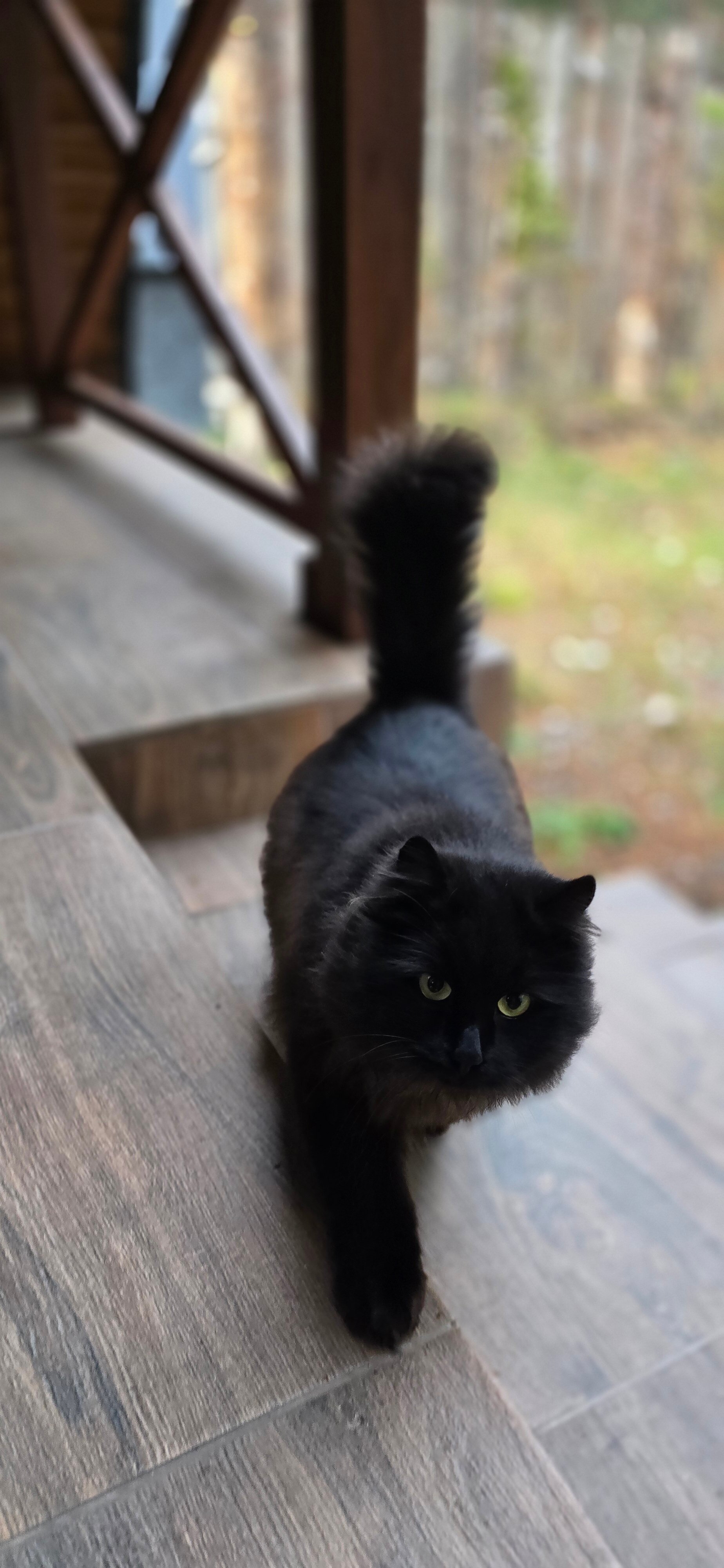 Фото Эльпик