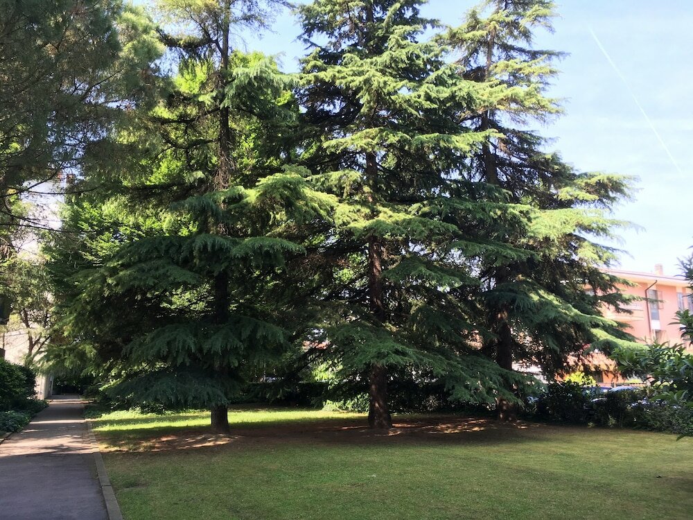 Фото Bed and Breakfast Bio Salix