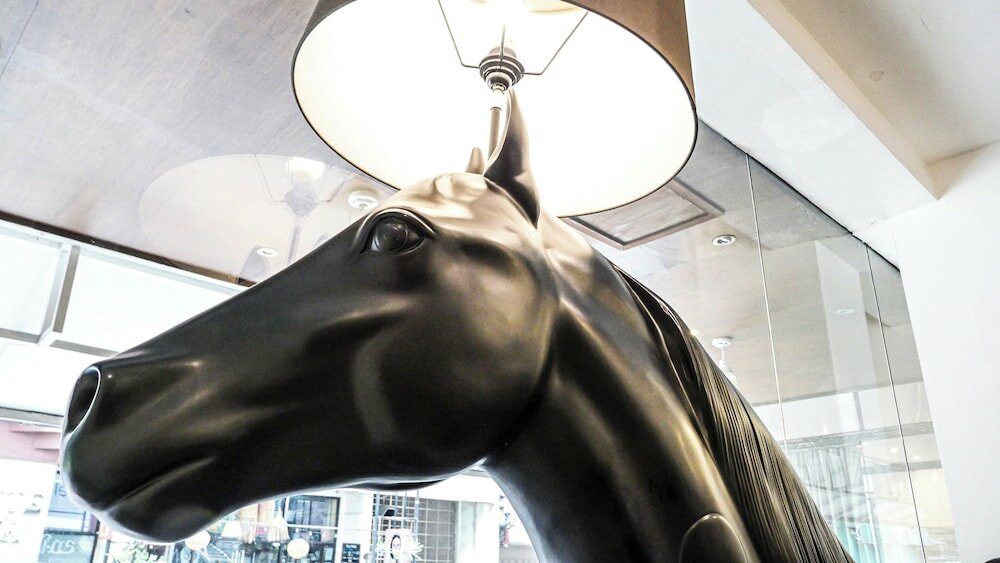 Фото Hotel Durban