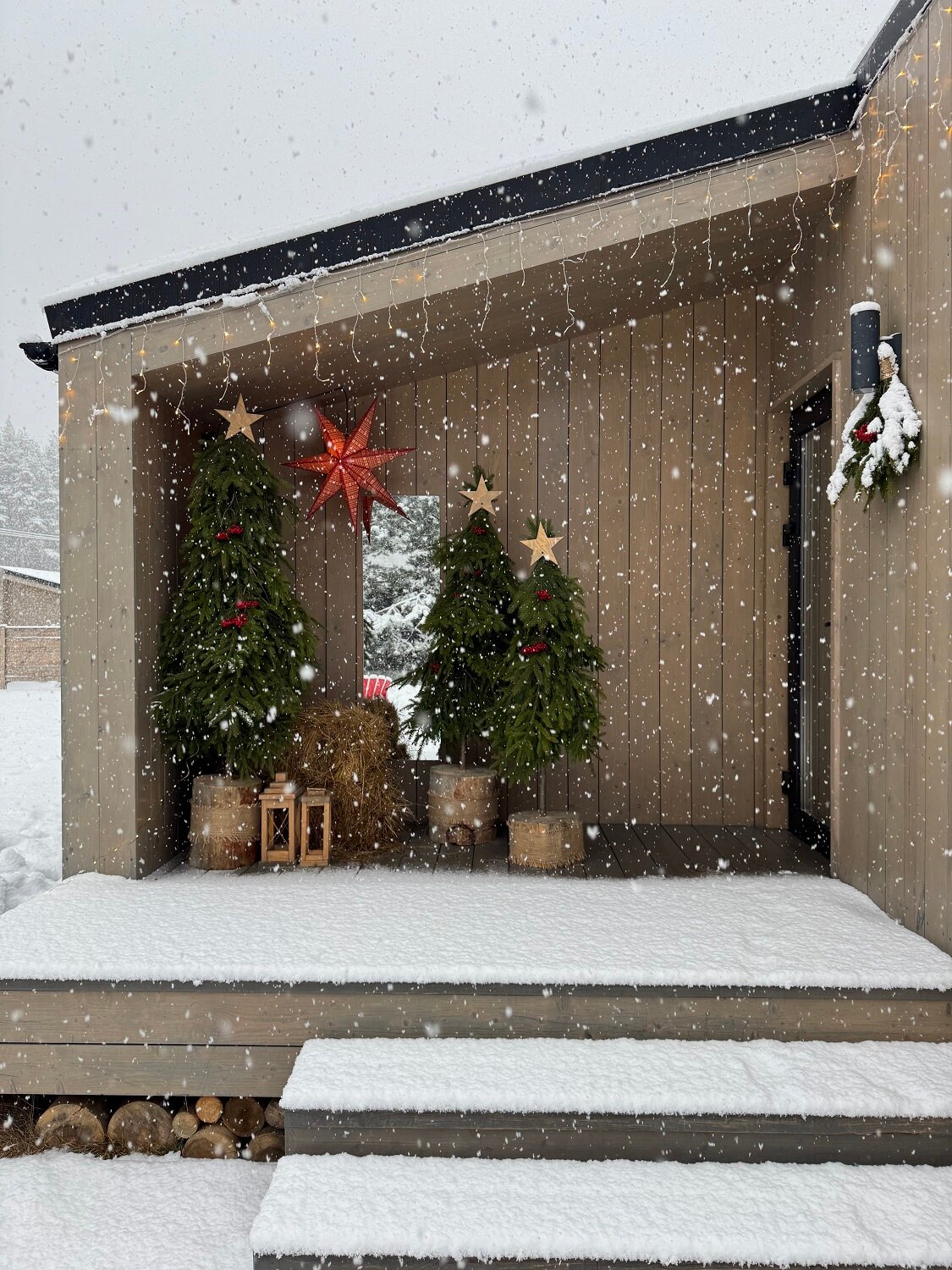 Фото Дача в соснах