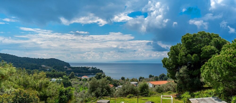 Фото Margi House