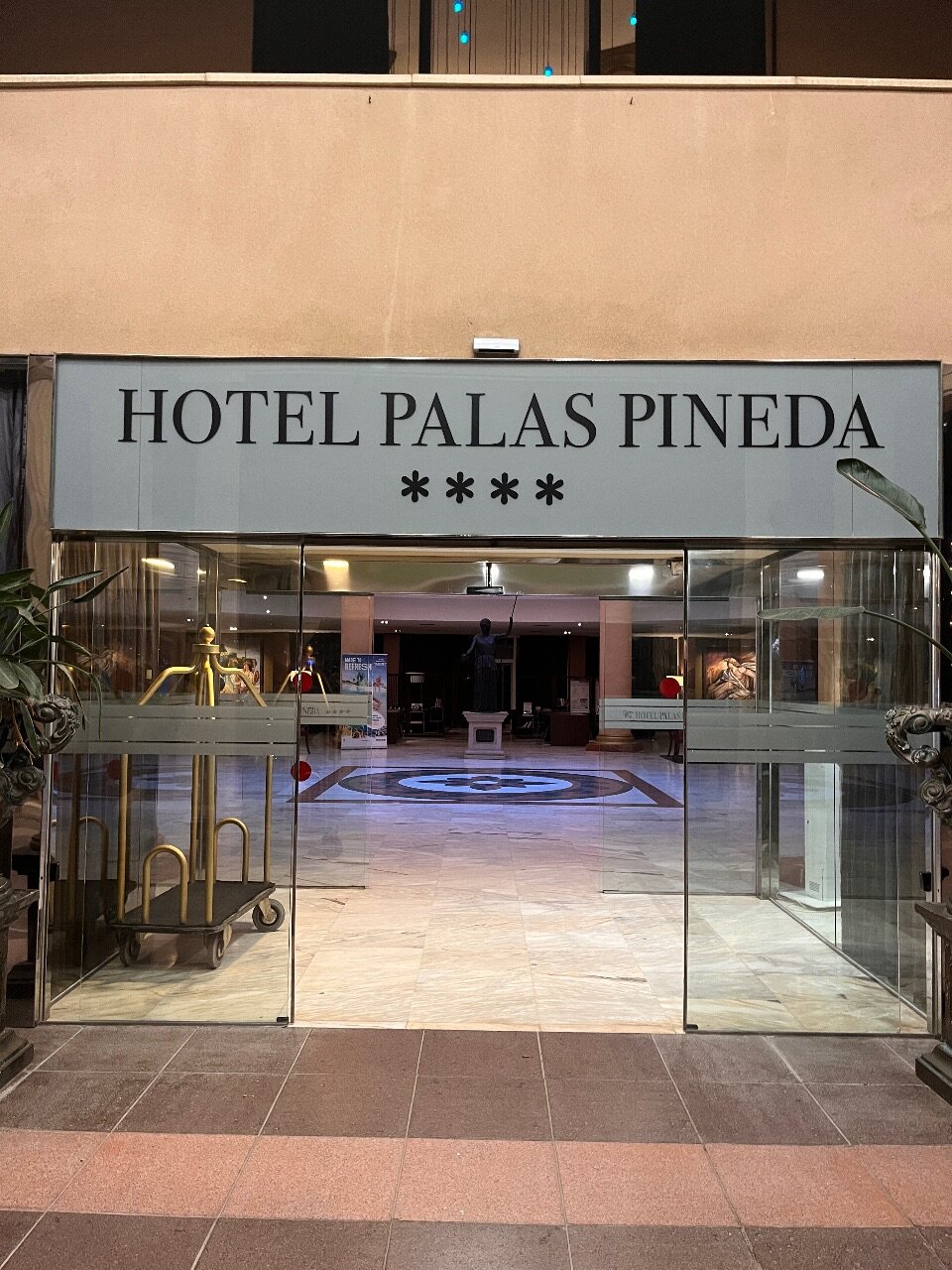 Фото Hotel Palas Pineda