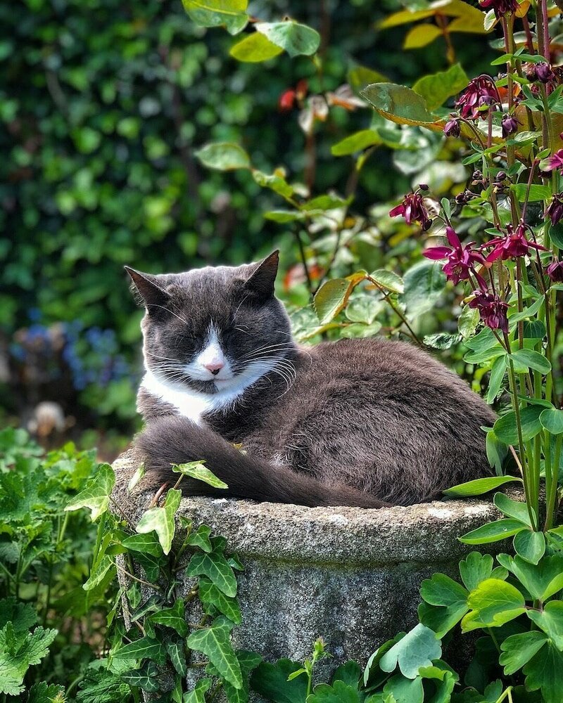 Фото Splatthayes B&b