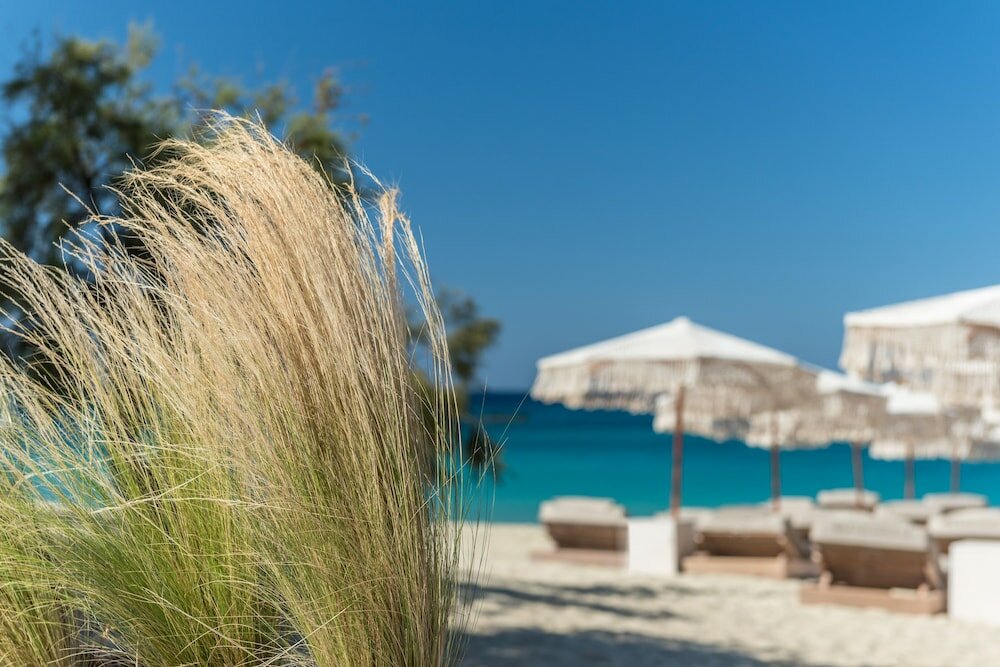 Фото Virtu Suites