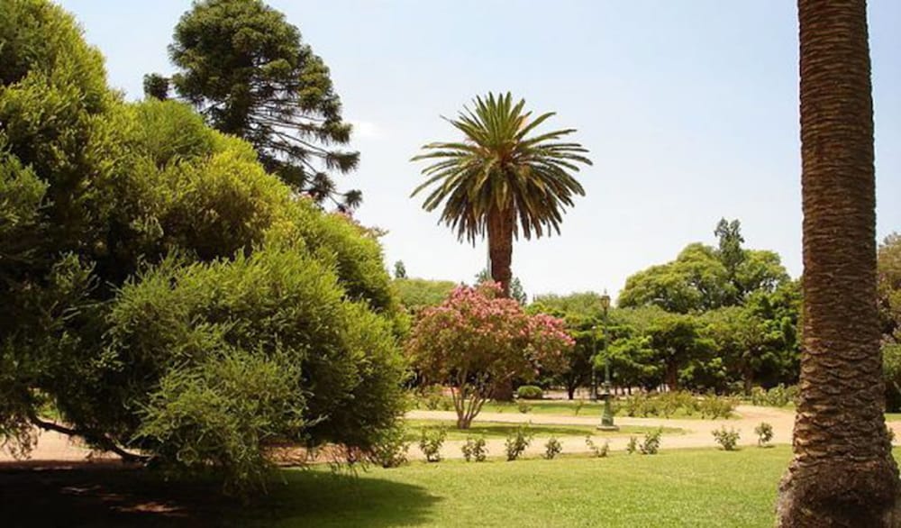 Фото Fuente Mayor Hotel Ciudad de Mendoza