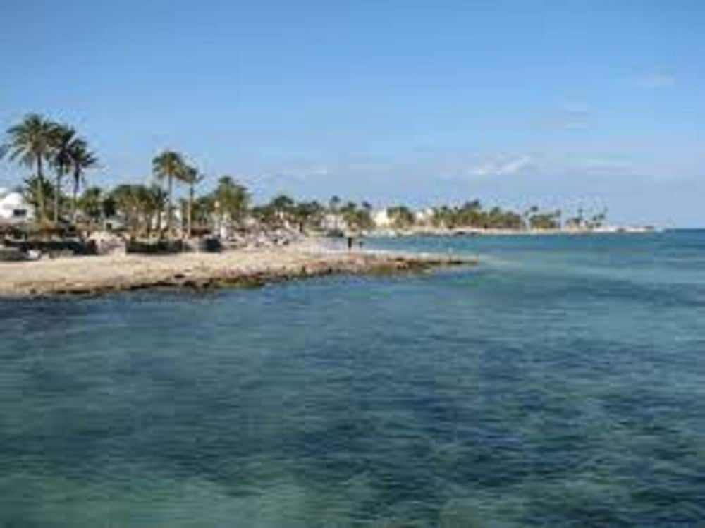 Фото Hôtel Les Palmes d'Or