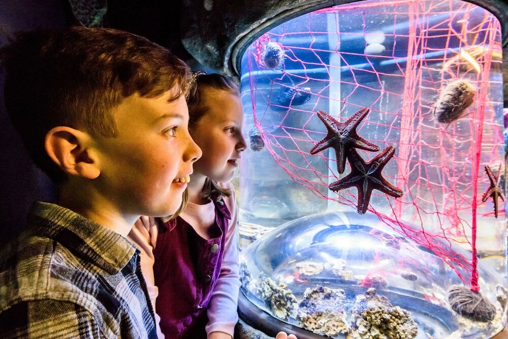 Фото Mercure Brighton Seafront Hotel