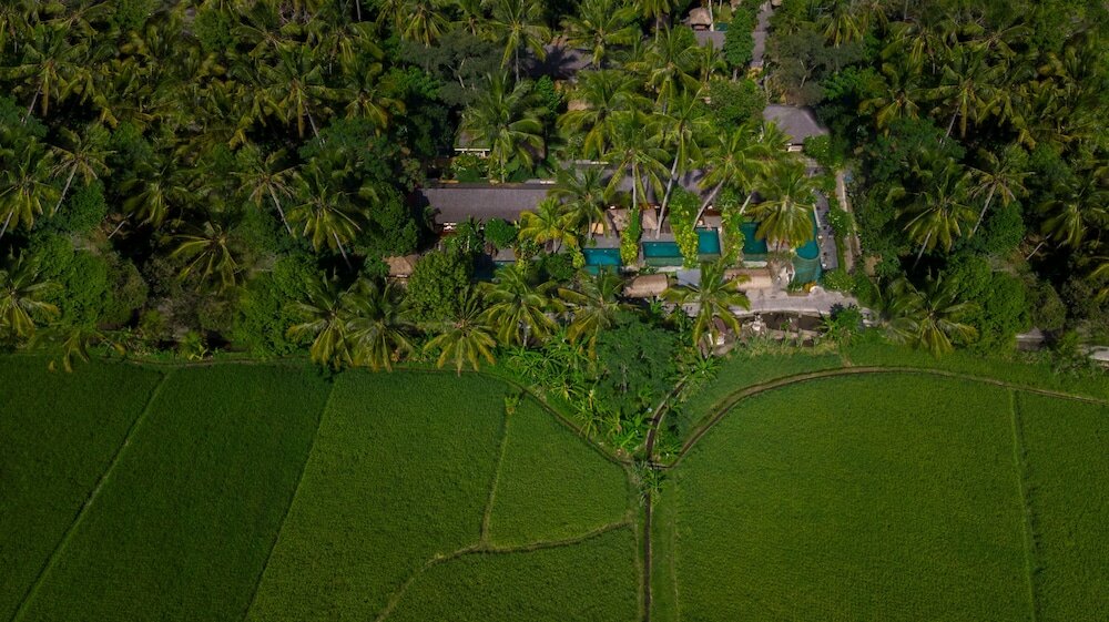Фото Ubud Padi Villas