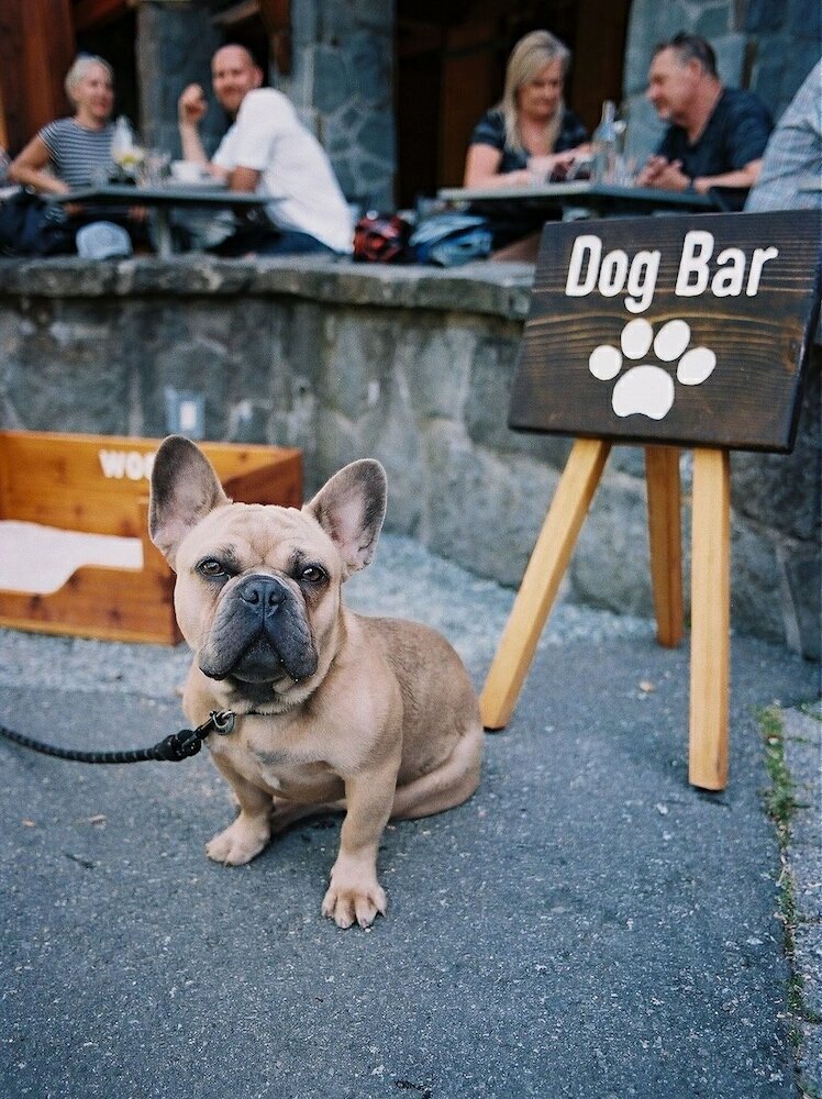 Фото Nita Lake Lodge