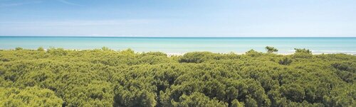 Гостиница Hotel Stella del Mare в Червии