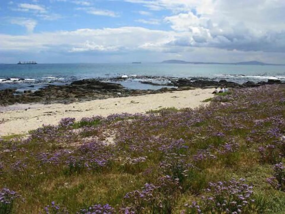 Фото Dolphin Inn Guesthouse