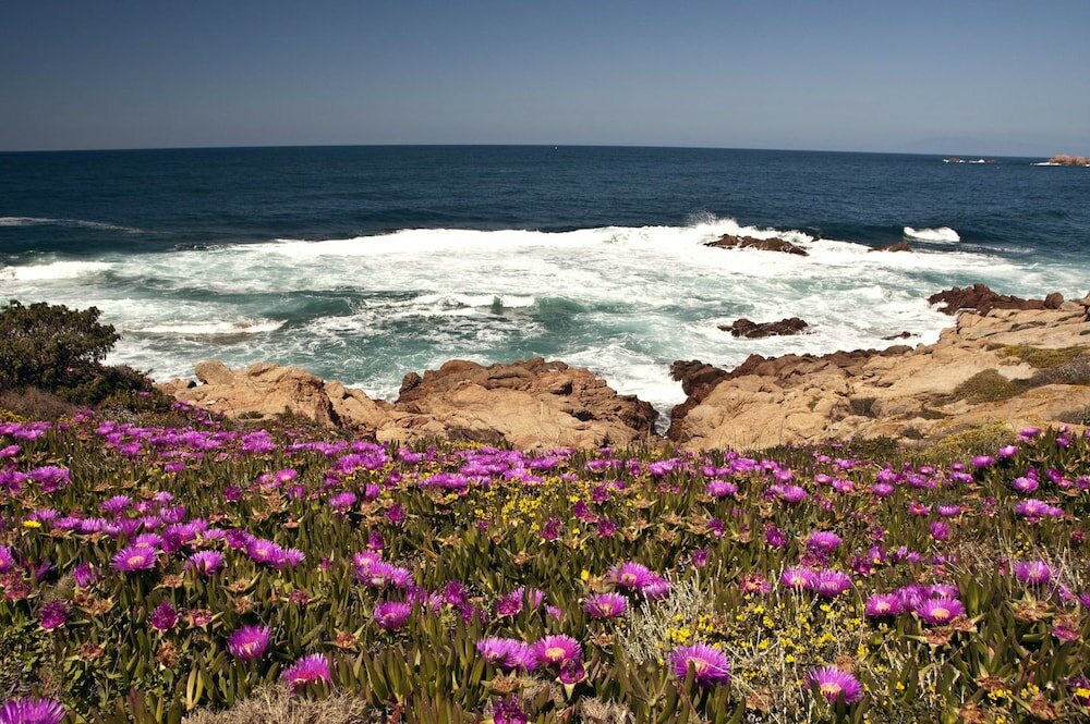 Фото Hotel Gabbiano - Agenzia Isola Rossa