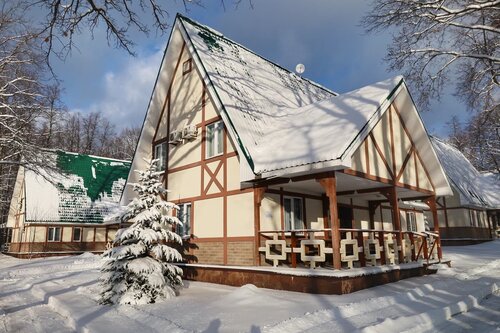 Иное жильё Парк-отель Дубрава в Самаре
