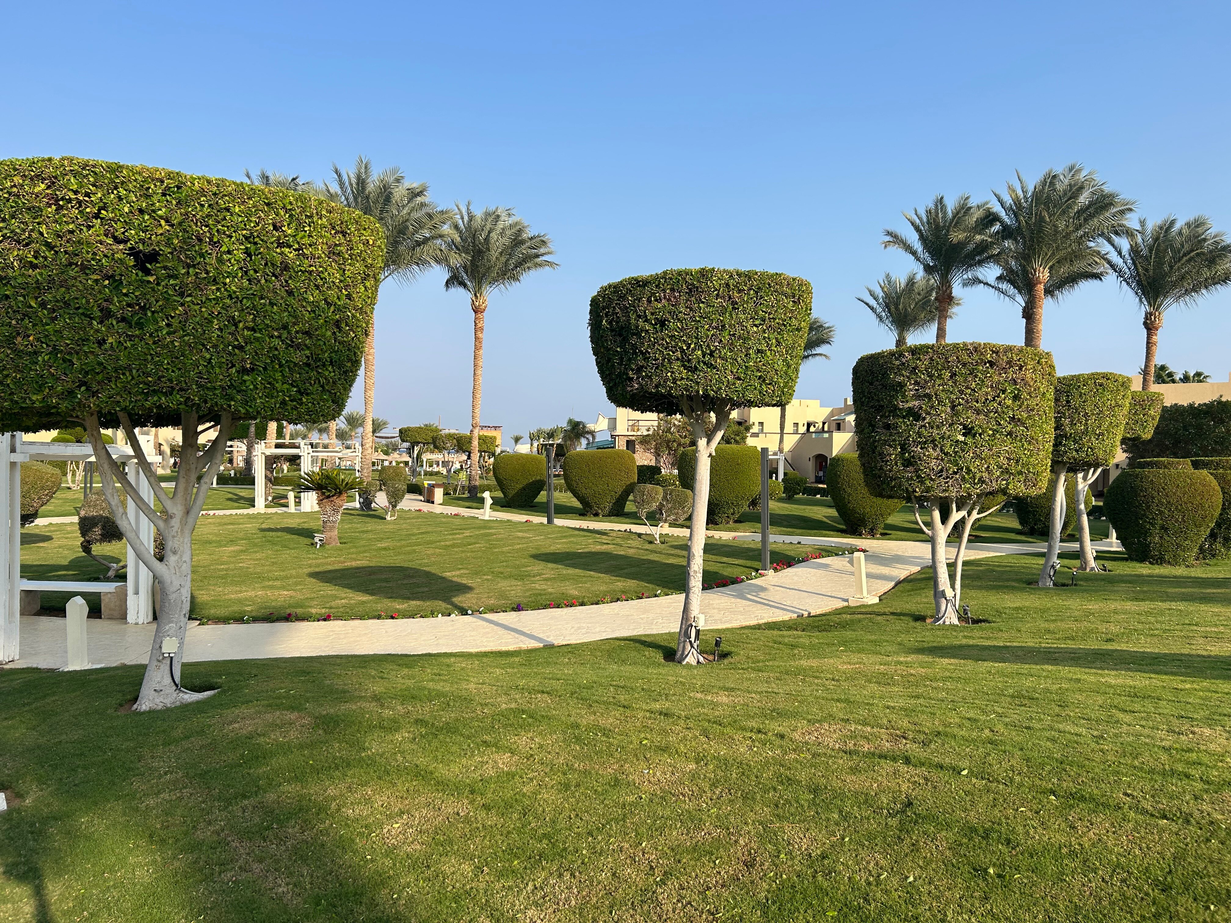 Фото Coral sea Holiday Resort & Aqua park