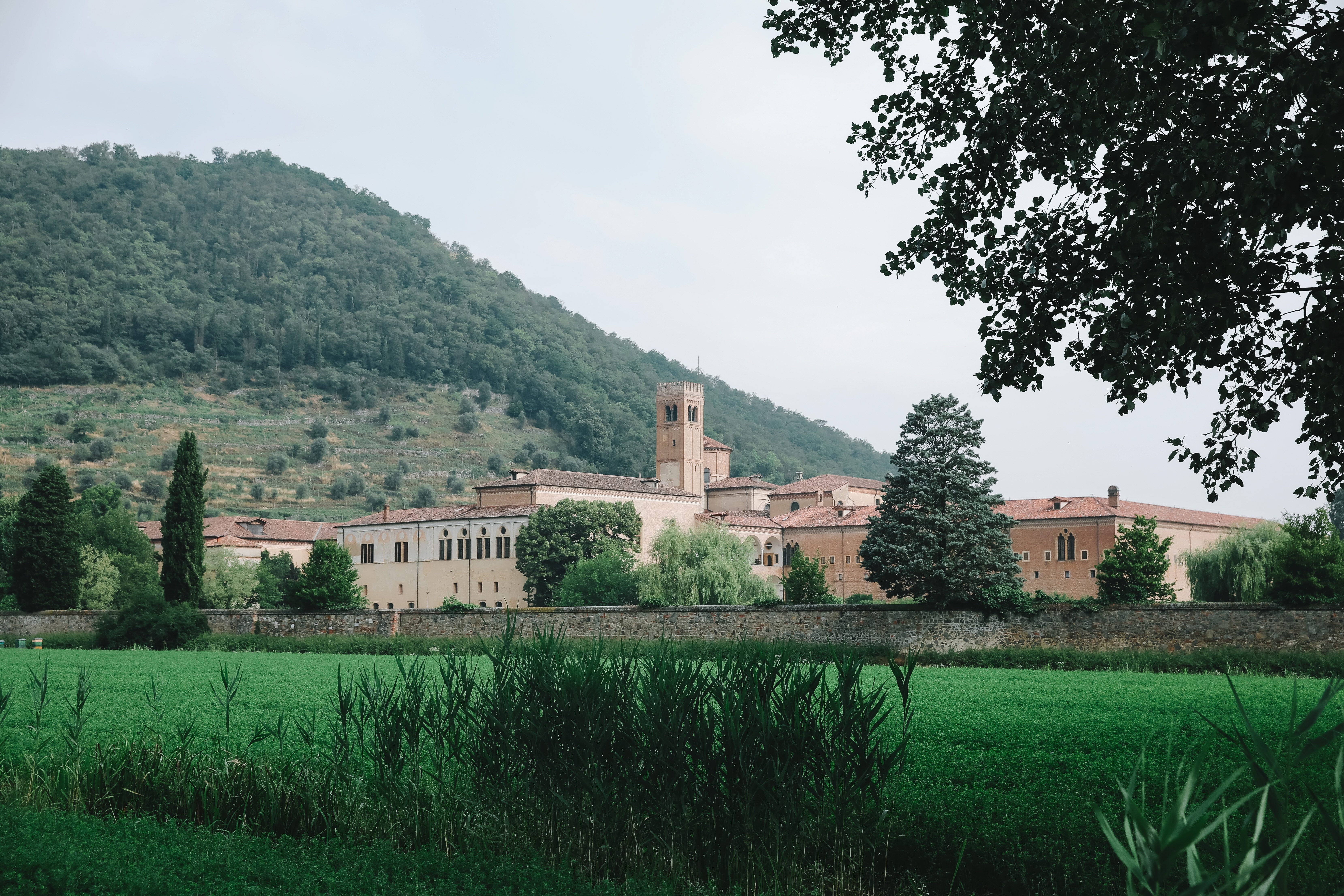 Фото President Terme Hotel