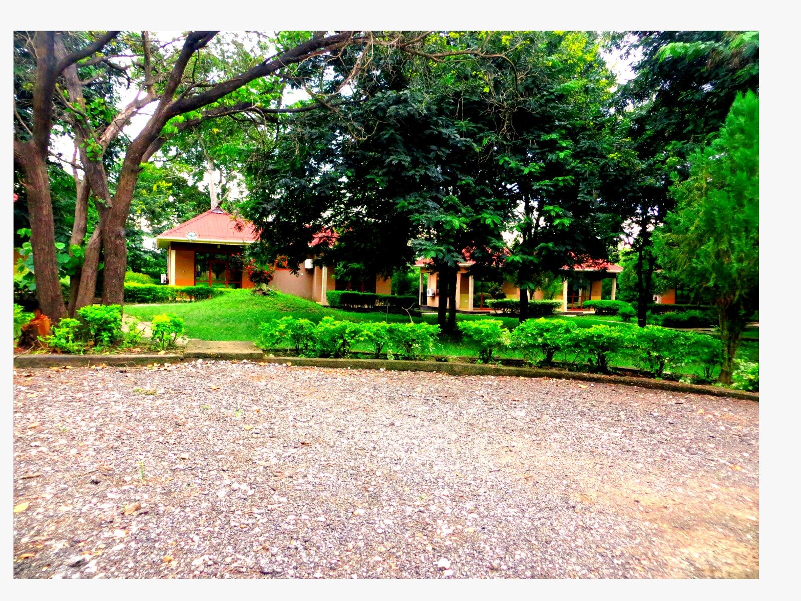 Фото Mikumi Resort Hotel