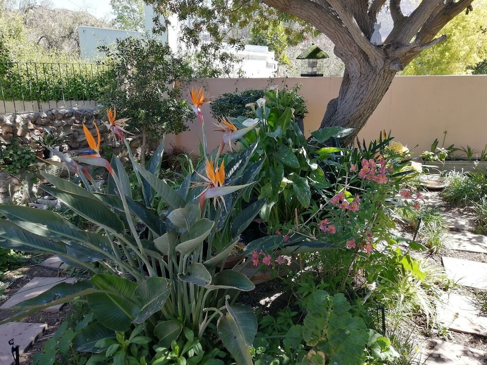 Фото Squirrels Corner