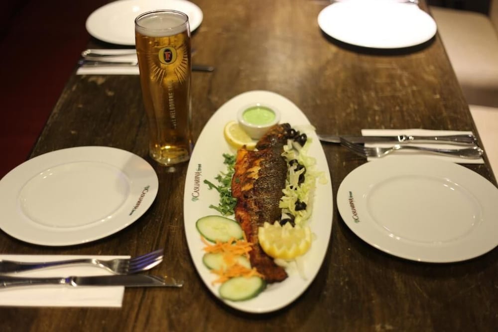 Фото Casuarina Tree