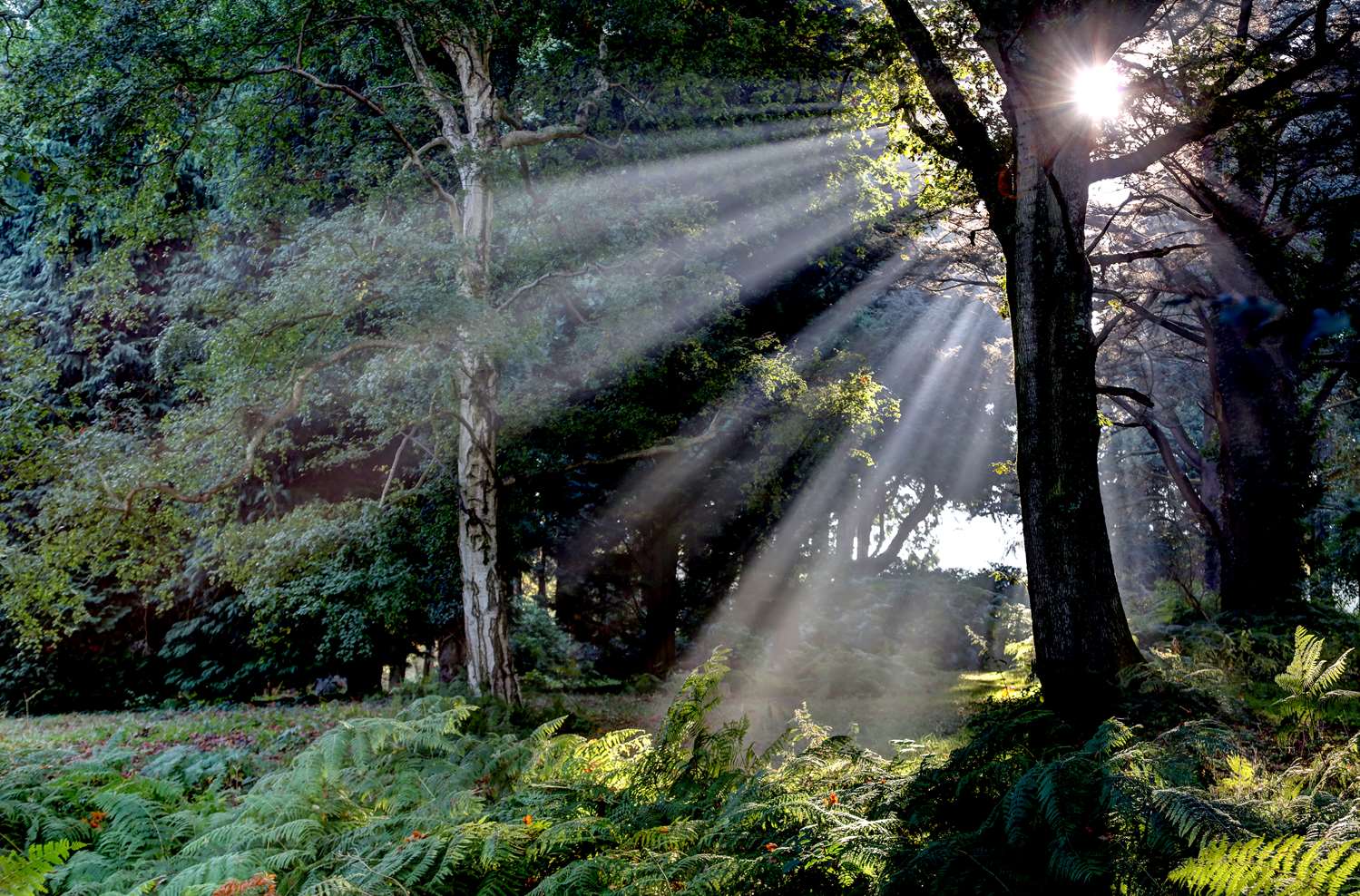 Фото Best Western Chilworth Manor Hotel