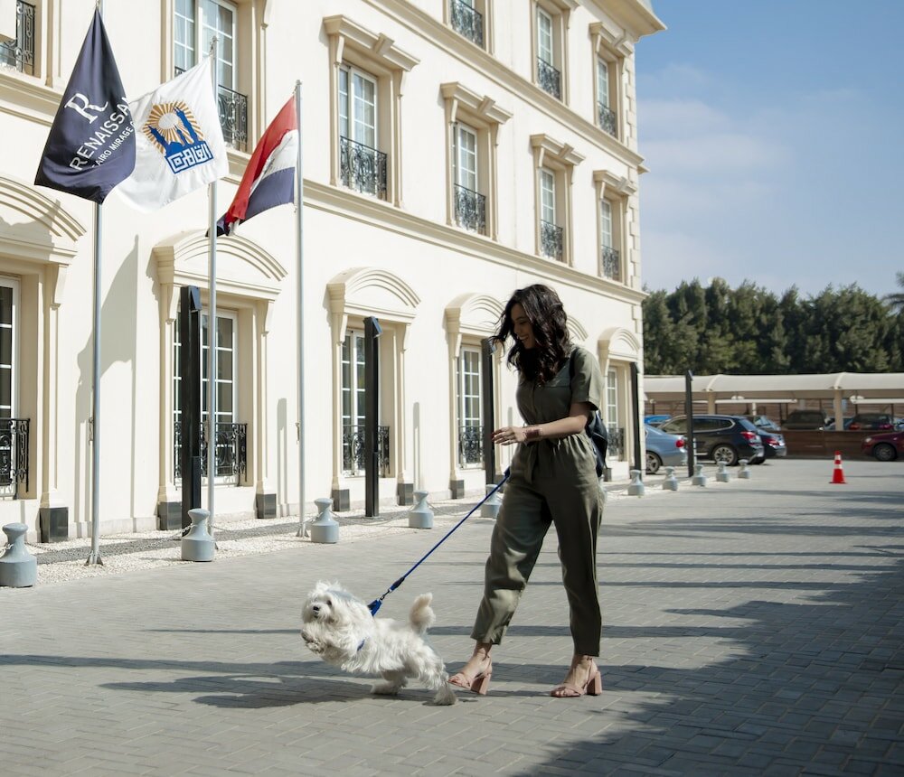 Фото Renaissance Cairo Mirage City Hotel