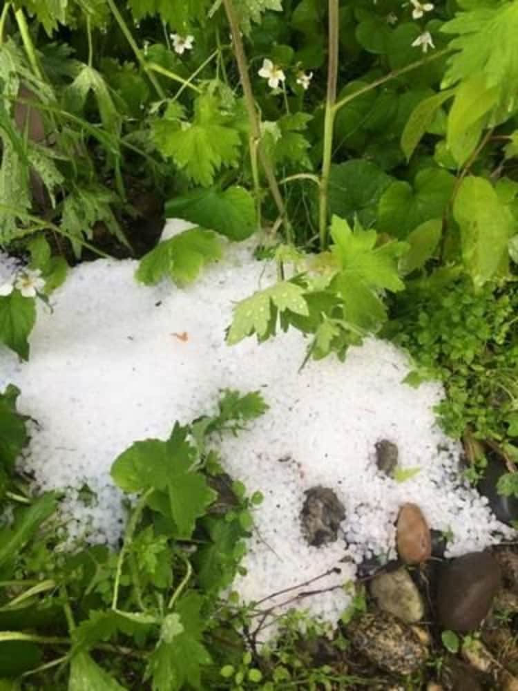 Фото 7 Gables Inn & Suites