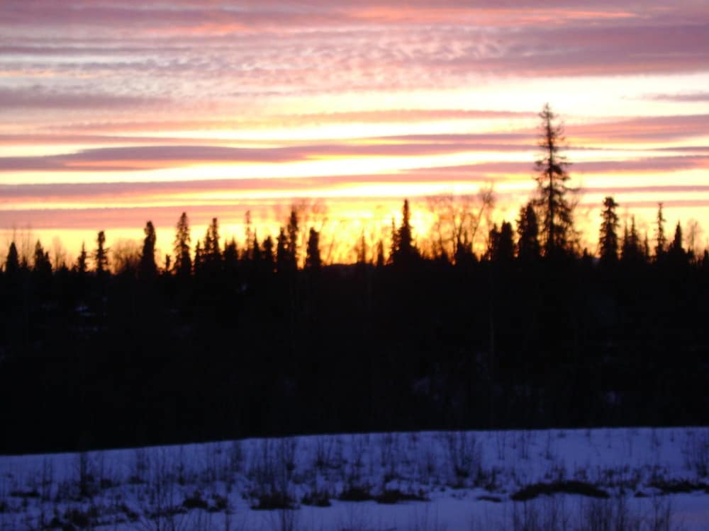 Фото Aspen Hotel Soldotna