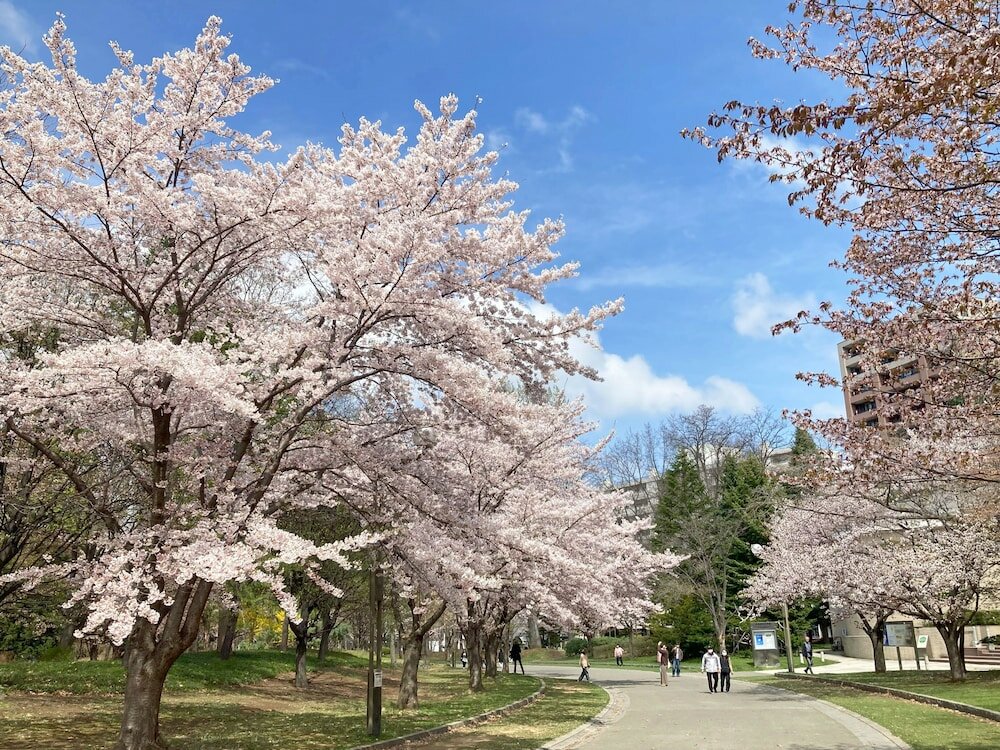 Фото Hotel Lifort Sapporo