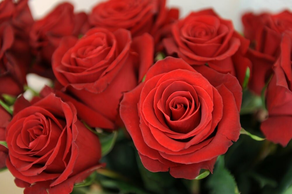 Фото Hotel Derby Interlaken - Action & Relax Hub