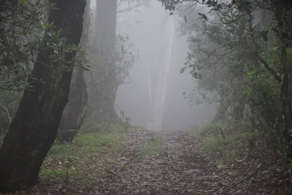 Фото Manudi Glenfallsedge Rest