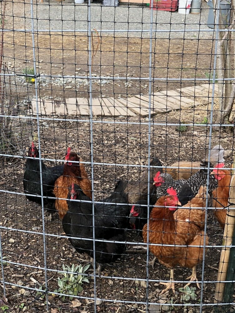 Фото Heartwood Mountain Sanctuary