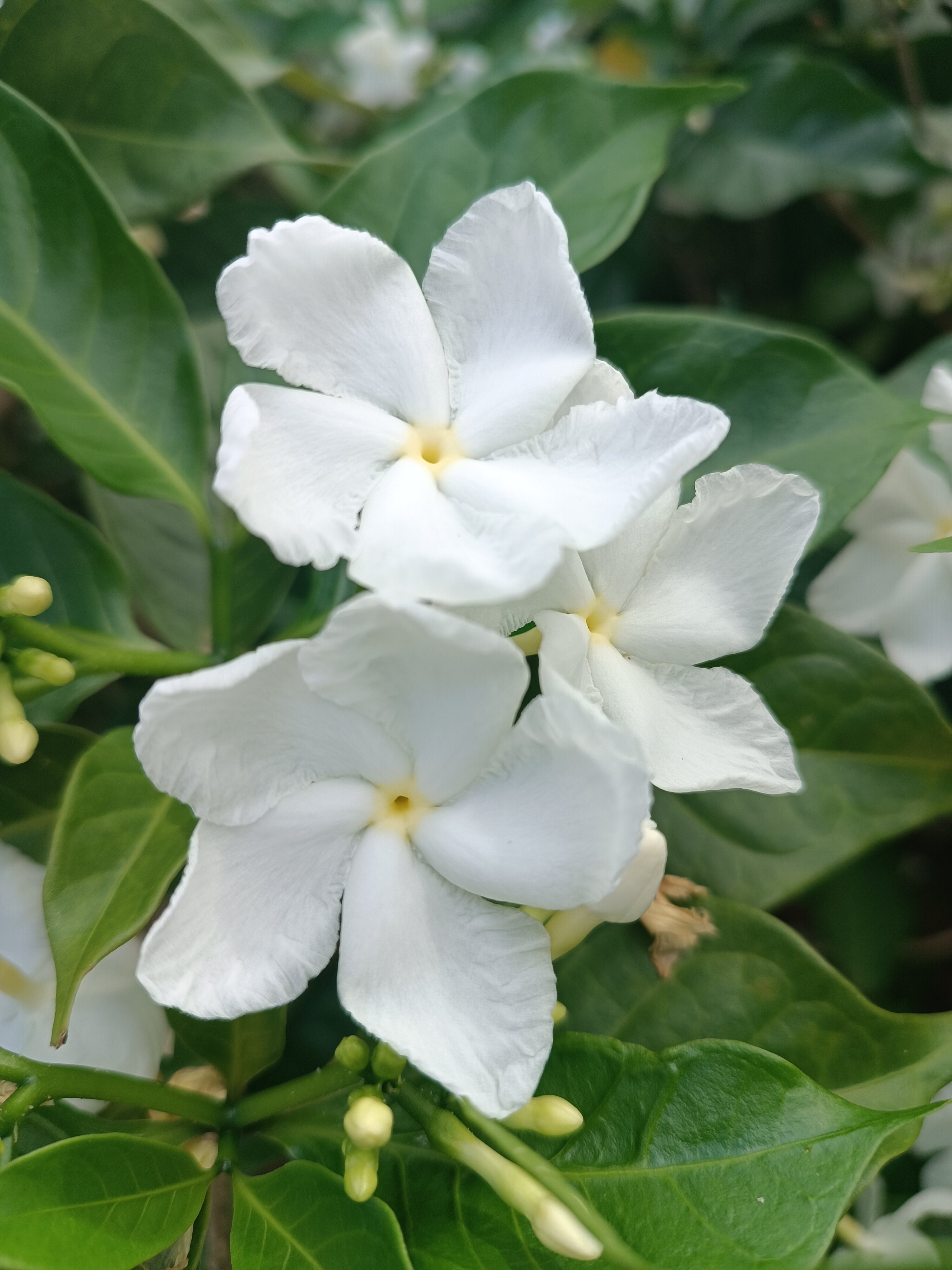 Фото Centara Mirage Resort Mui Ne