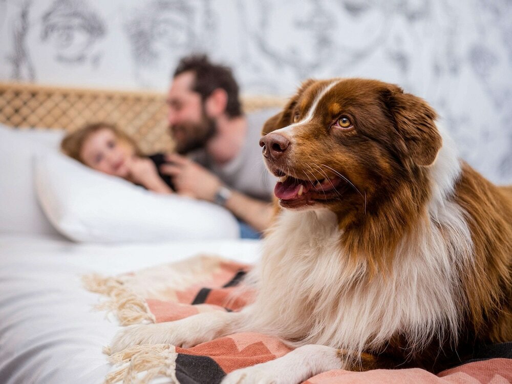 Фото Mercure Reims Parc des Expositions