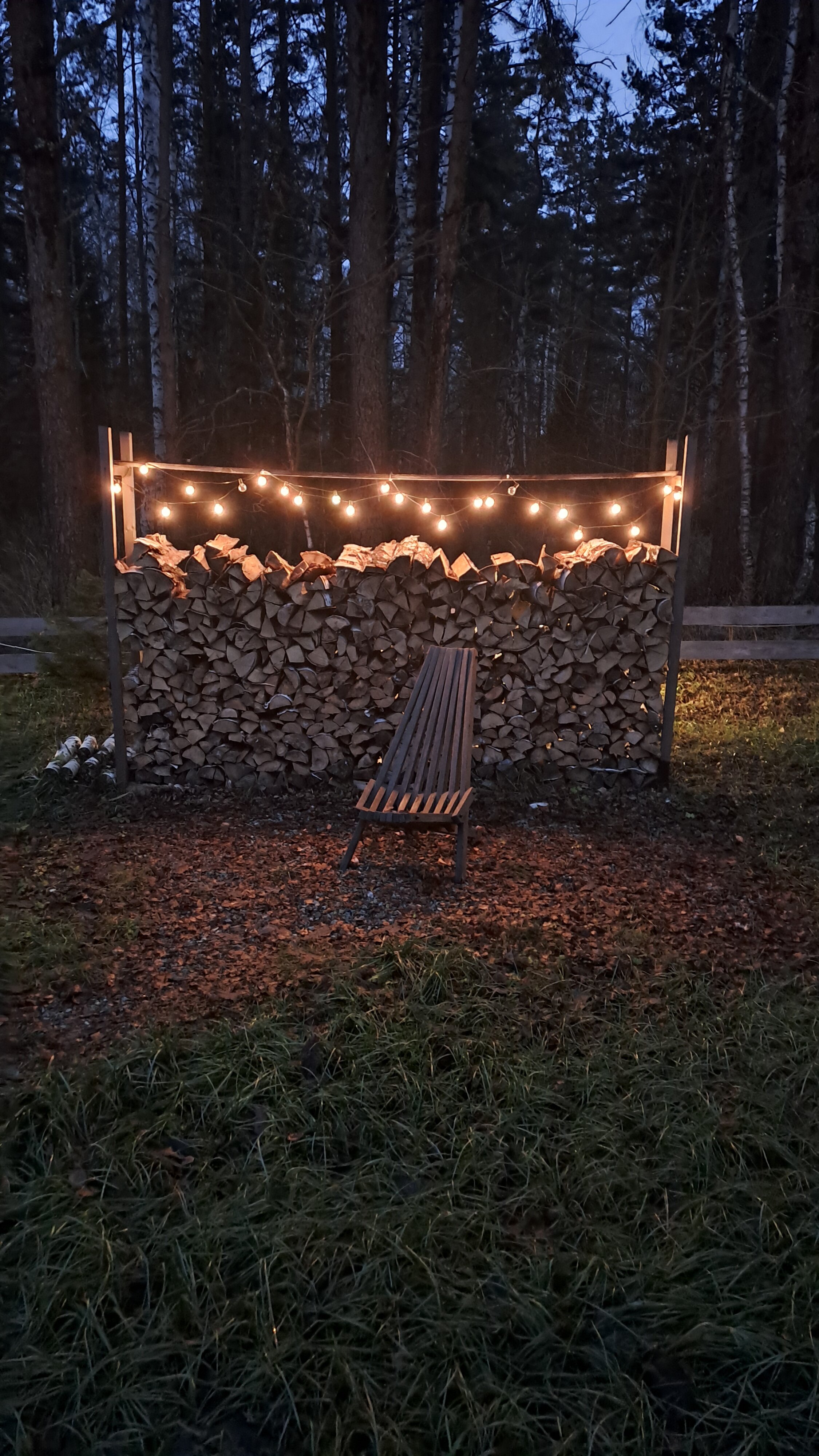 Фото На опушке