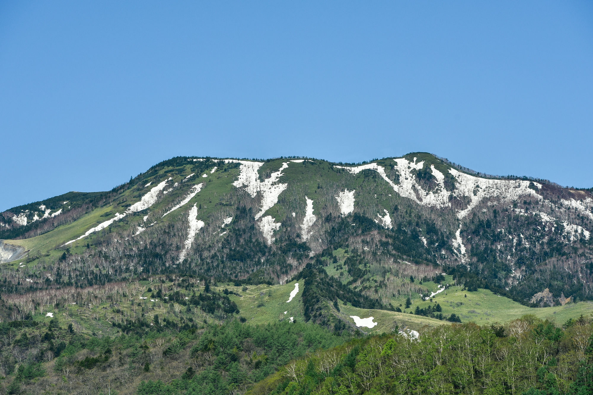 Фото Kusatsu Onsen Kiyoshigekan