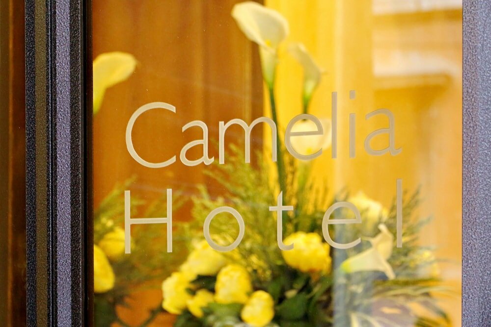 Фото Hotel Camelia