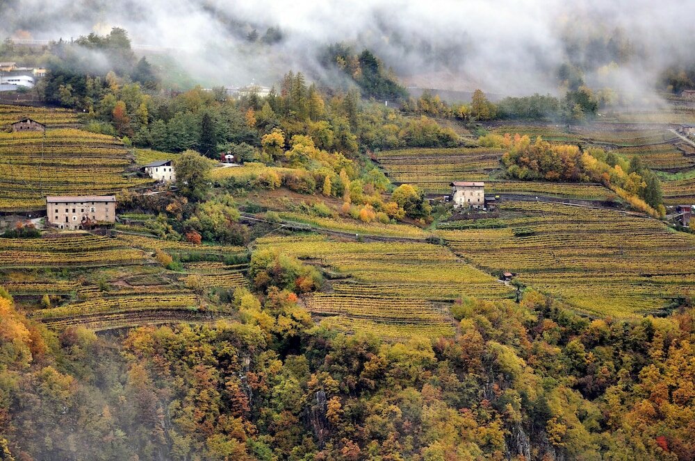 Фото Hotel Alle Piramidi