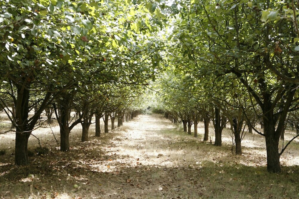 Фото Parador Casa da Ínsua