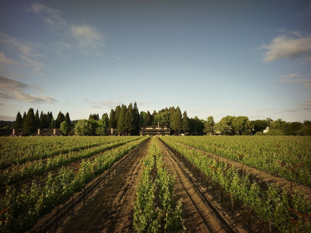 Фото Harvest Inn