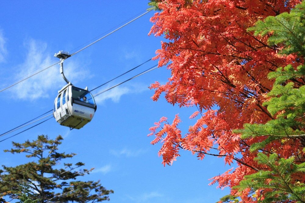 Фото Kaidou Roman Onyado Tsutaya