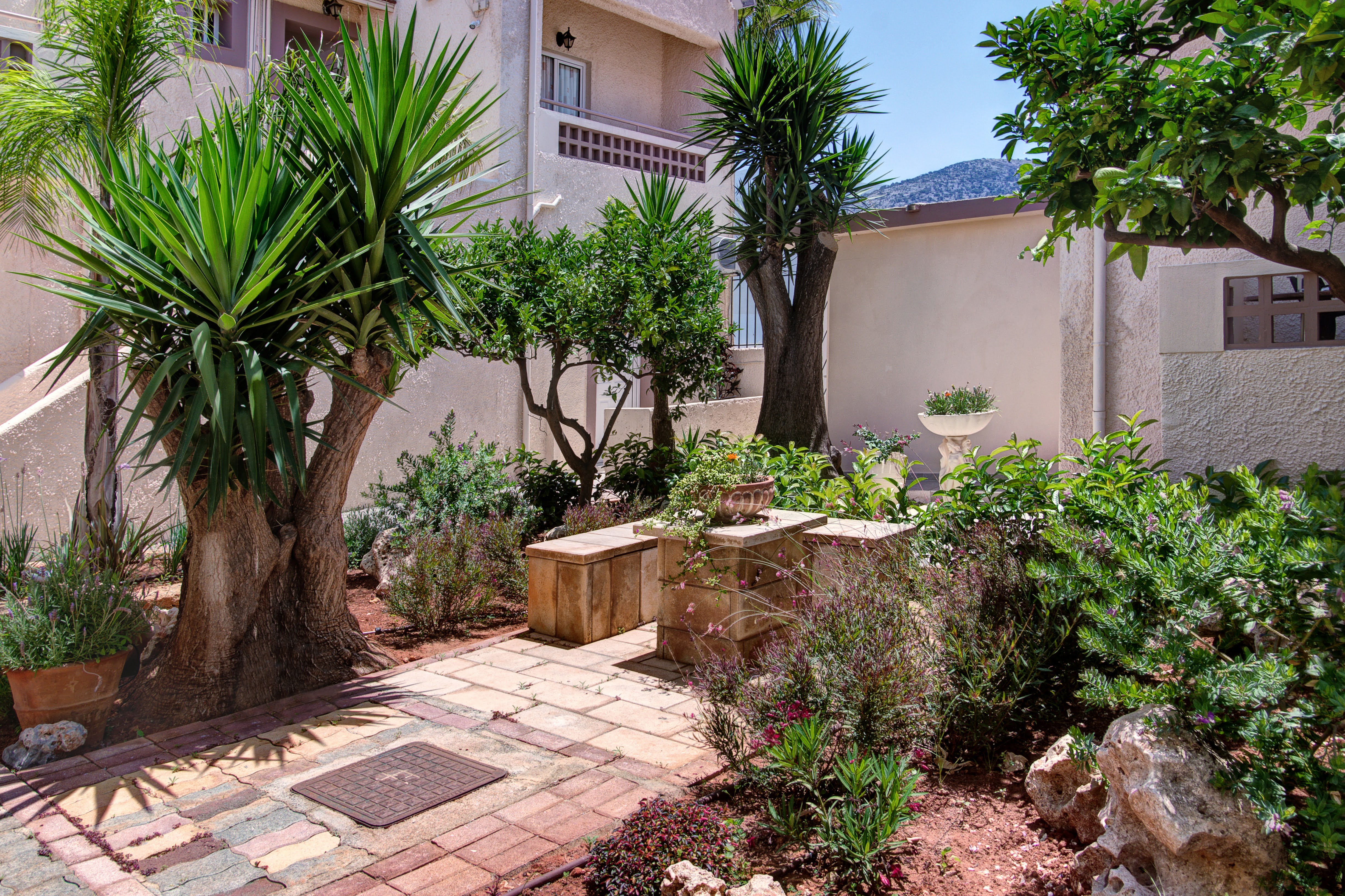 Фото Ilios Malia Hotel Resort