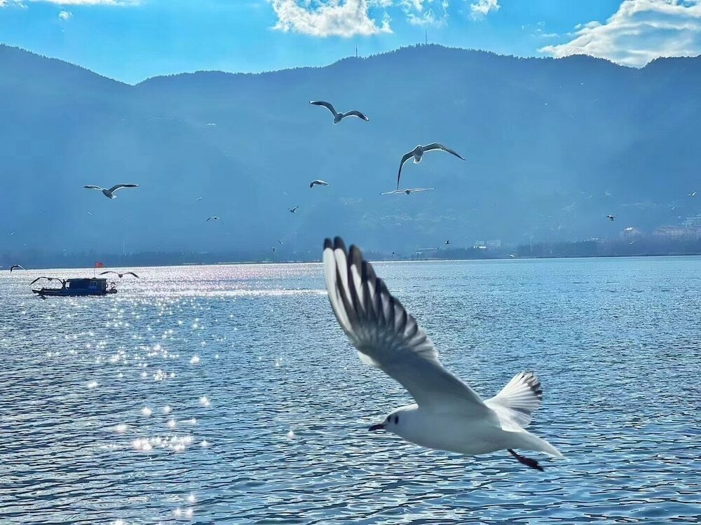 Фото Hilton Garden Inn Kunming Dianchi