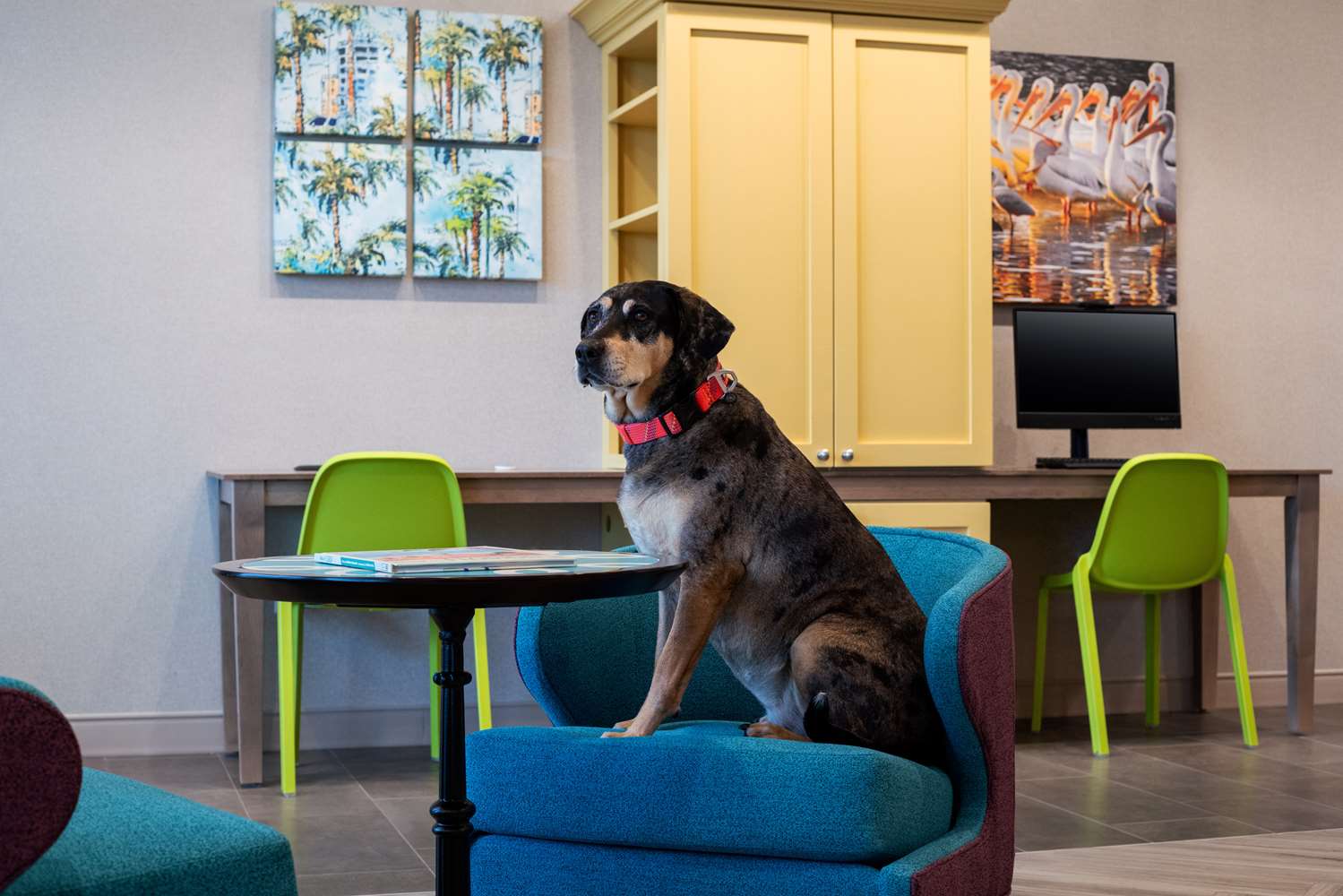 Фото Home2 Suites by Hilton Lake Mary Orlando