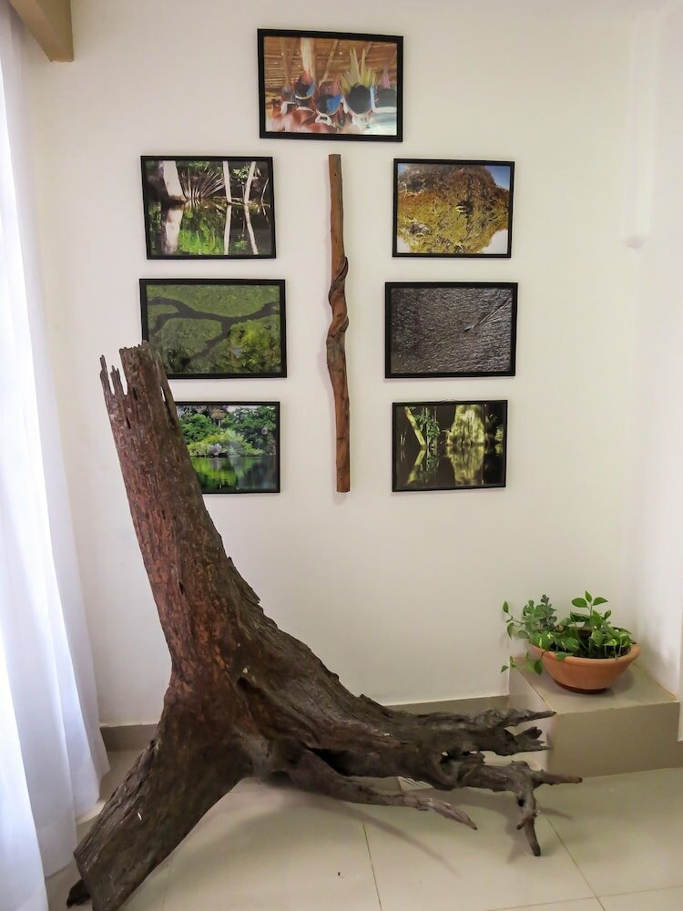 Фото Hotel casa dos Frades