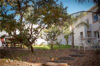 Фото The Lions Guesthouse