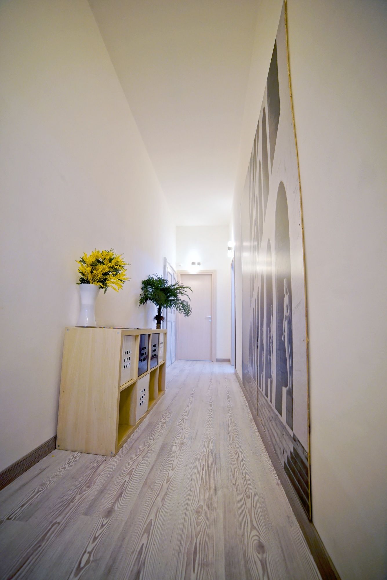 Фото White Vatican