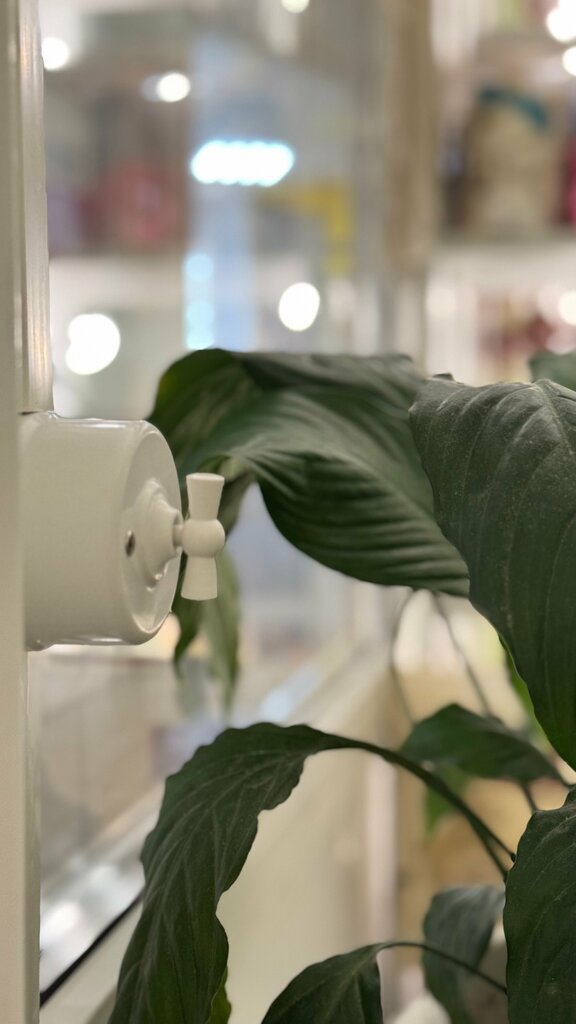 Flower shop Sinichkiny radosti, Korolev, photo