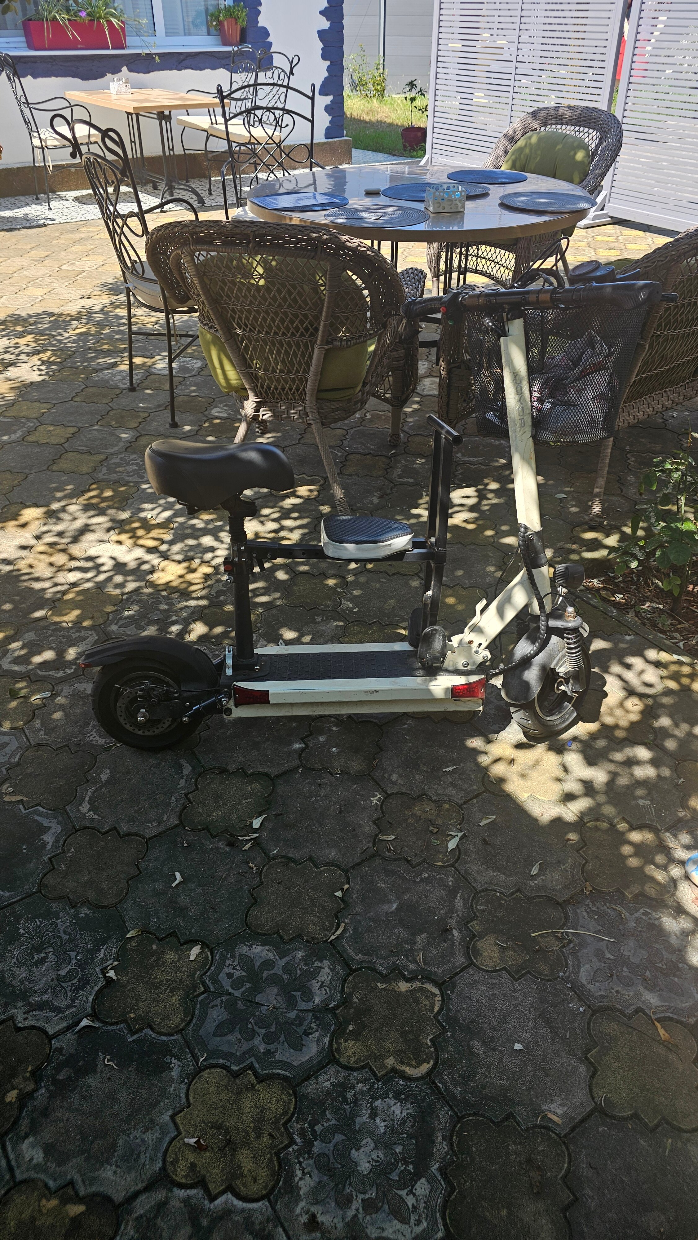 Фото Золотой Поросенок