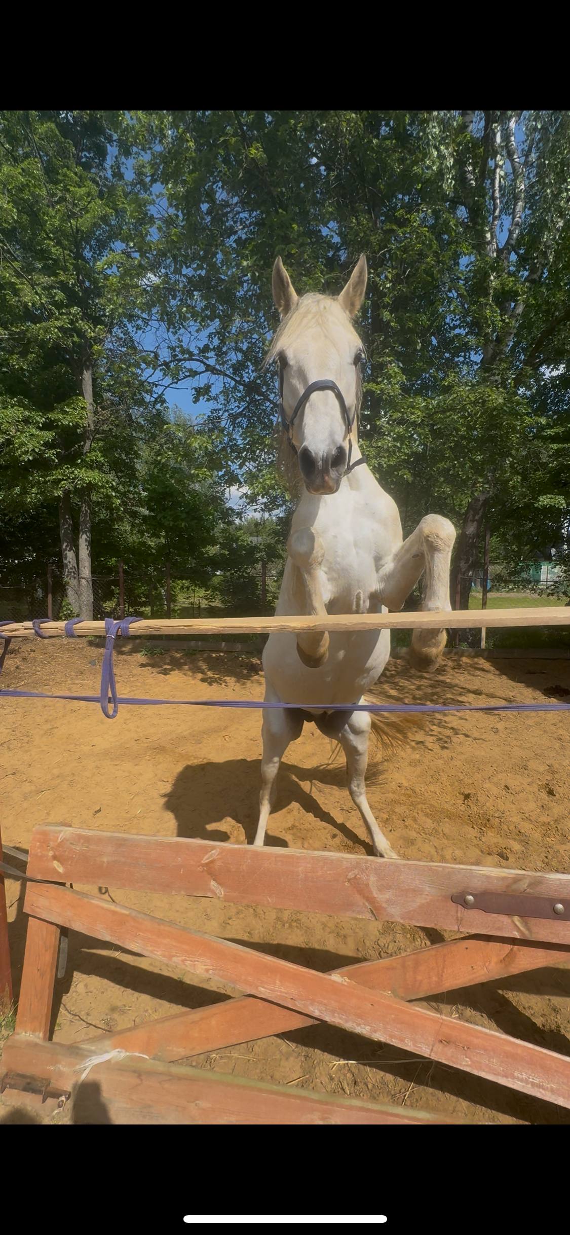 Фото Дом Туриста