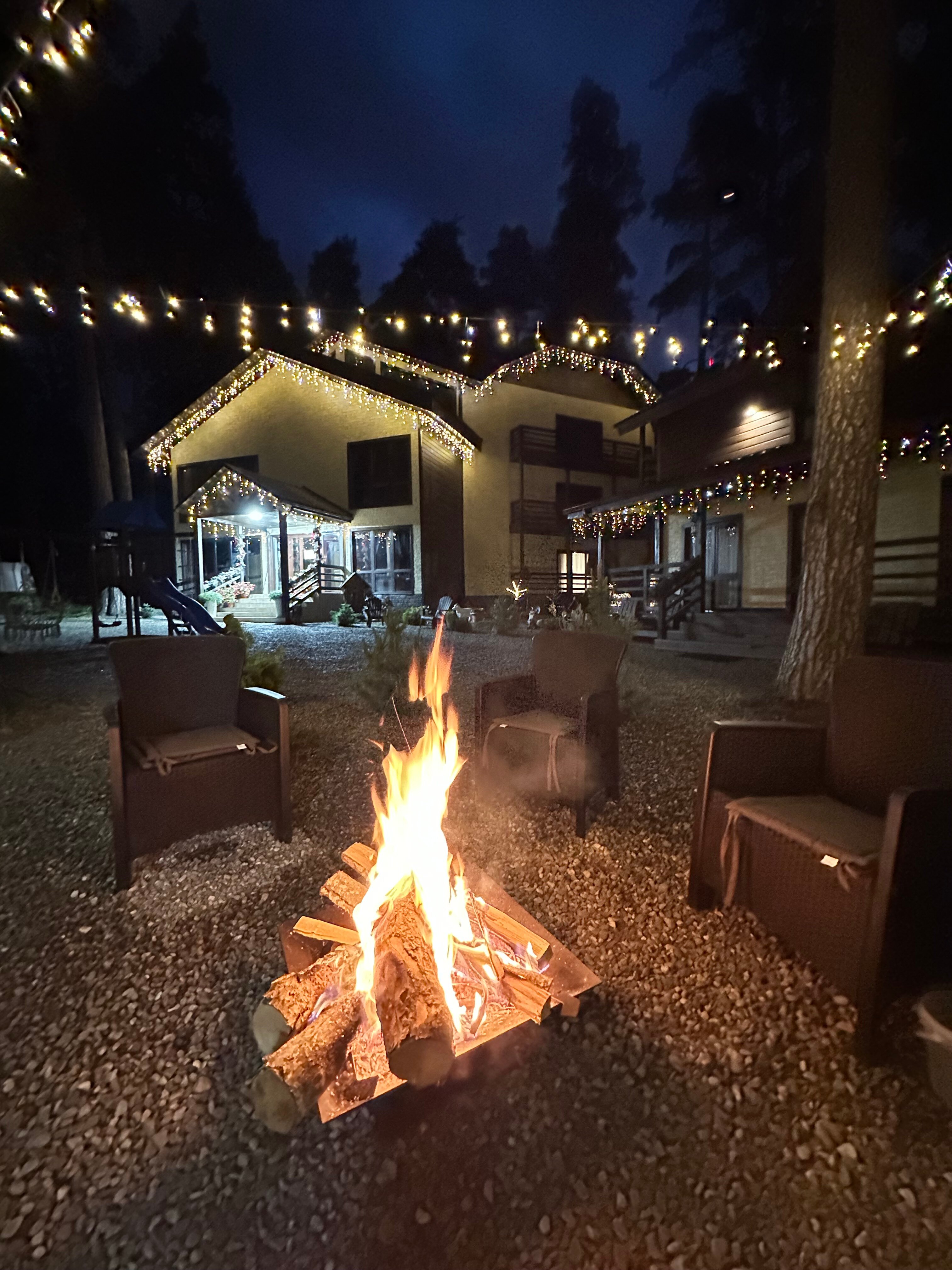 Фото Сосновый бор