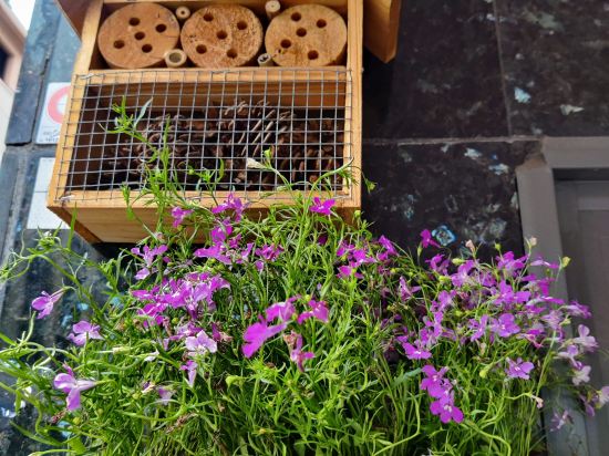 Фото First Hotel Millennium